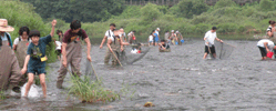 강가에서 민물고기를 잡고 있는 사람들